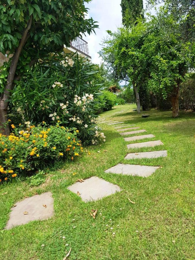 Villa Pineland بورجيتو سانتو سبيريتو المظهر الخارجي الصورة